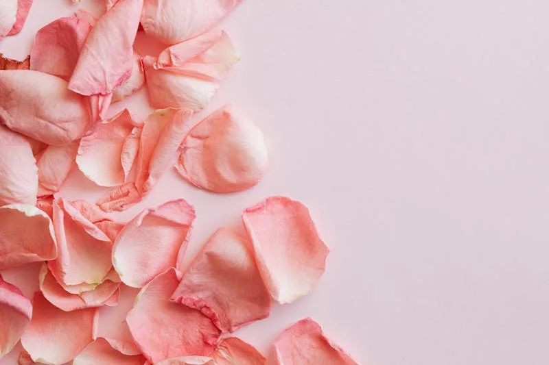 Bondage-ordbog 2026: Hvad betyder BDSM, soft bondage og safe word?